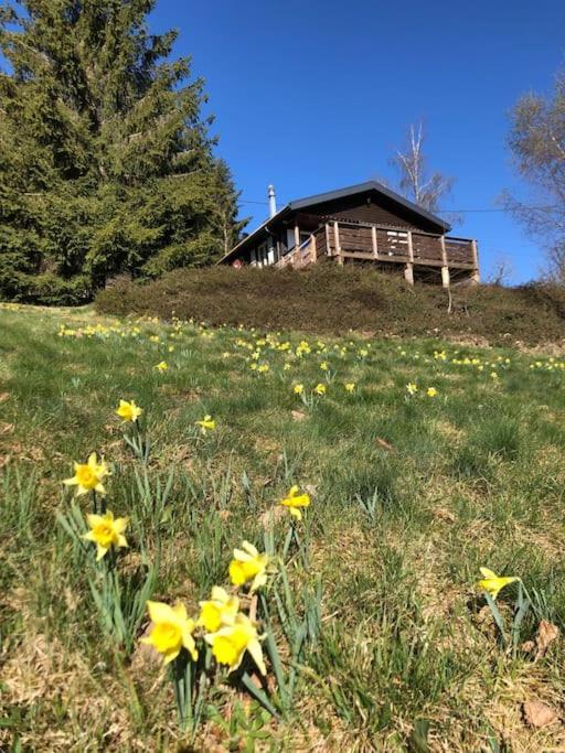 Le Chalet Des Coeurs เลอโธลี ภายนอก รูปภาพ